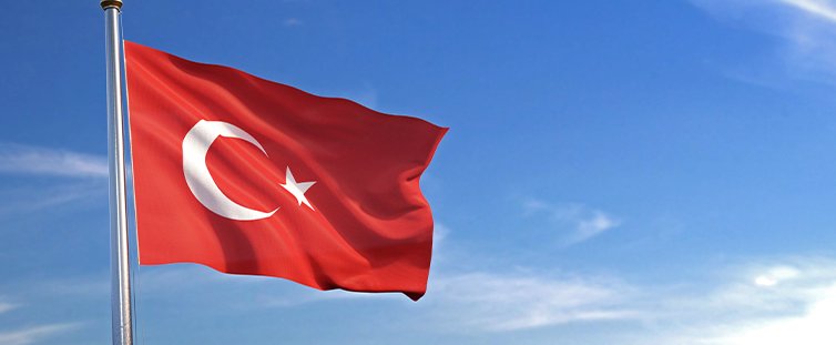TRY This: Turkish Lira Crashes to Fresh Low