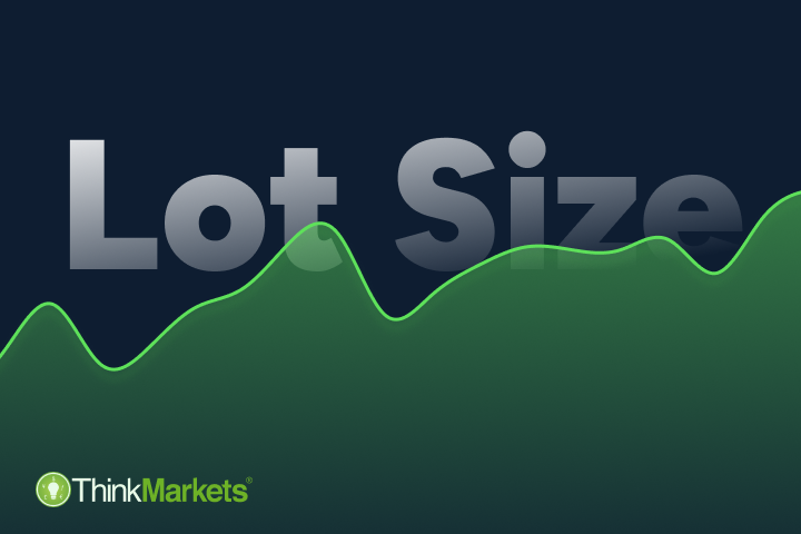 Lot Size Forex: What Is It, How It Functions and How to Calculate It